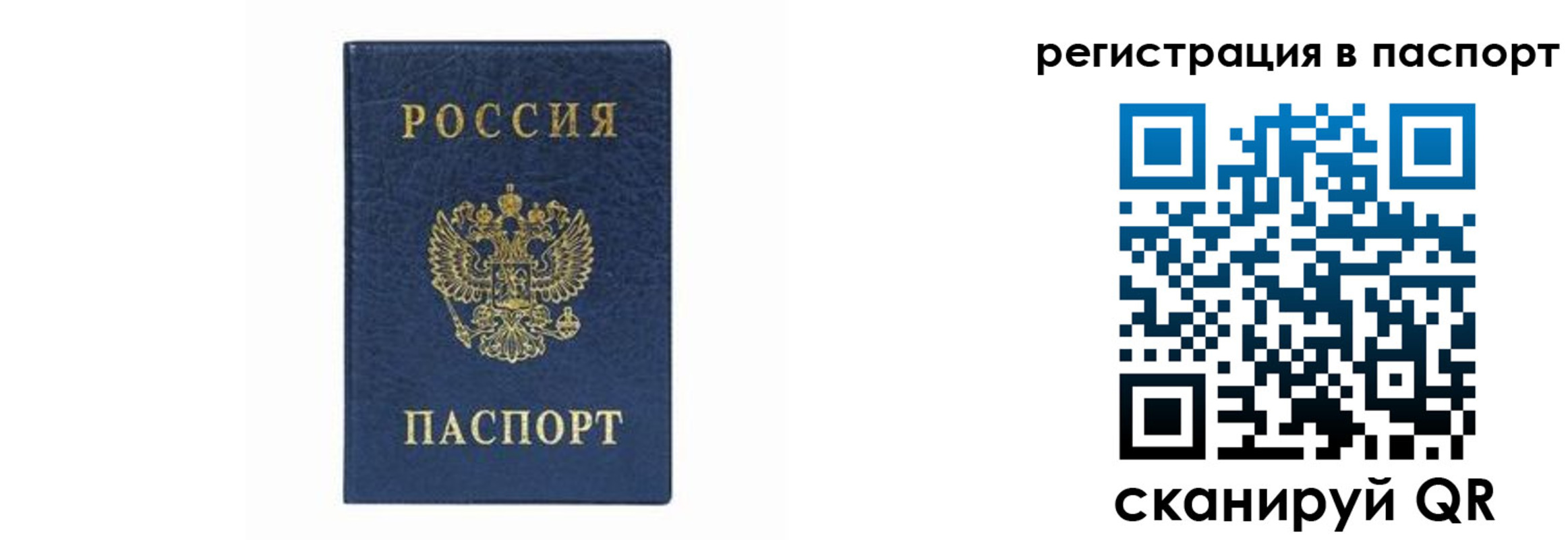 форма 3 в Бийске